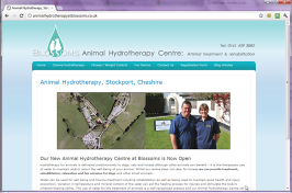 Animal Hydrotherapy, Cheshire